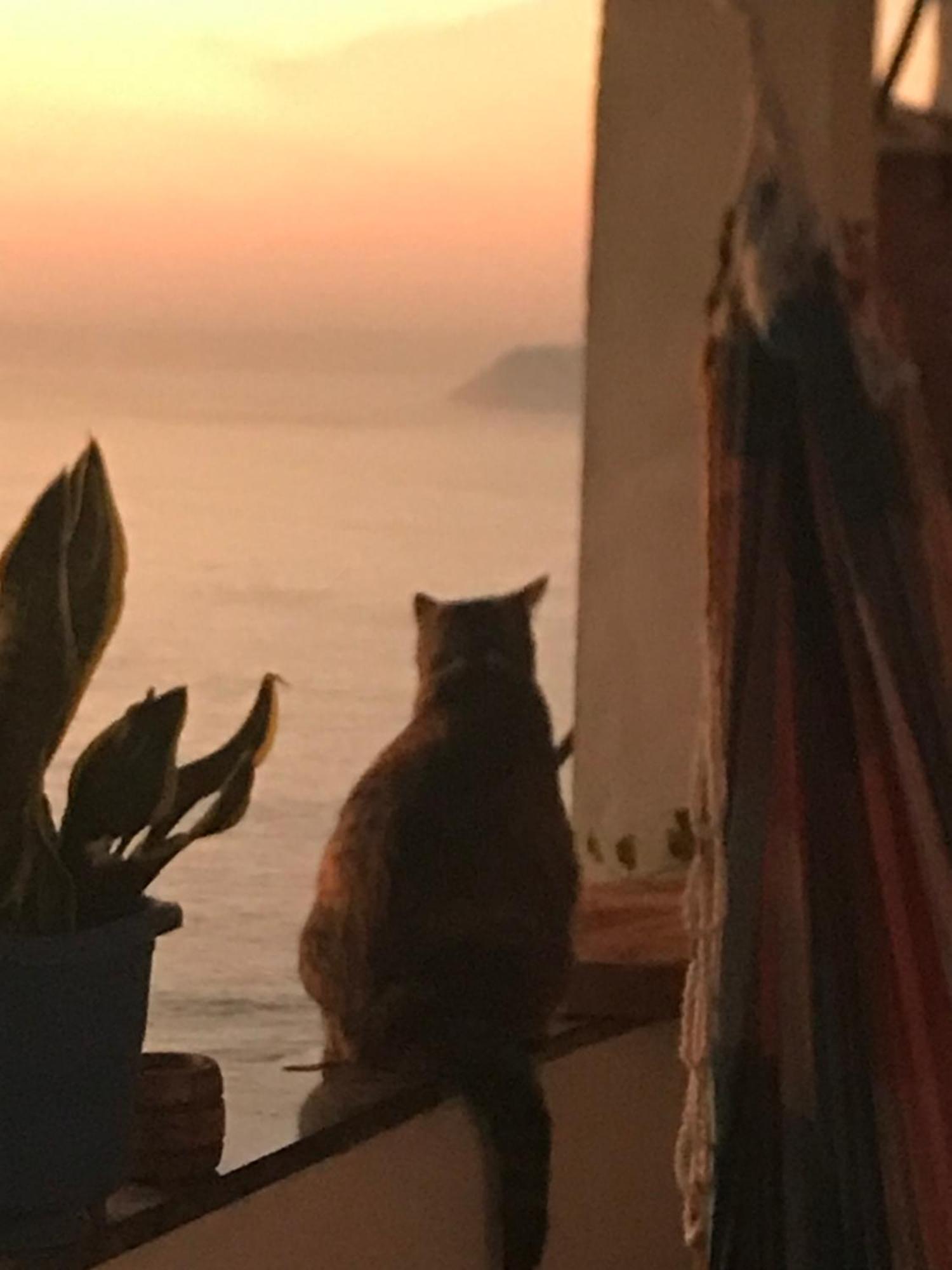 Bella Vista Vidigal Albergue Rio de Janeiro