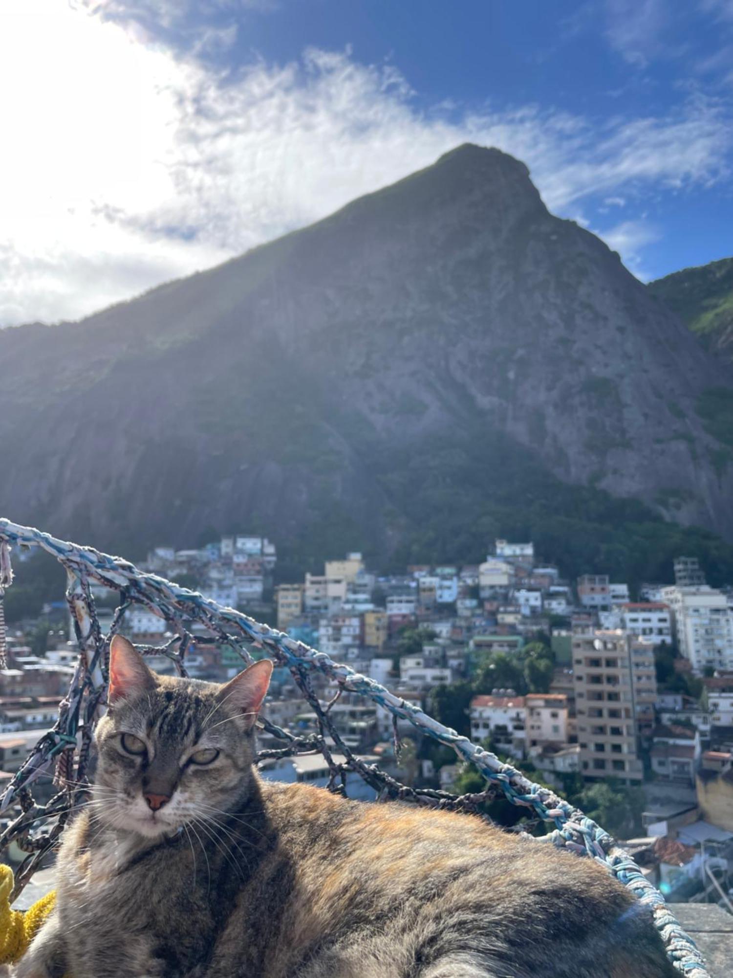 Bella Vista Vidigal Albergue *