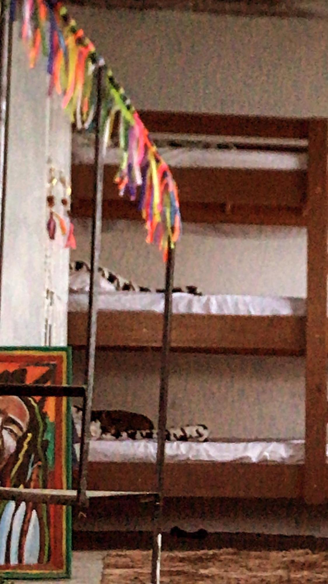 Bella Vista Vidigal Hostel Rio de Janeiro